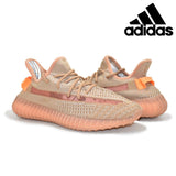 Adidas Yeezy Boost 350